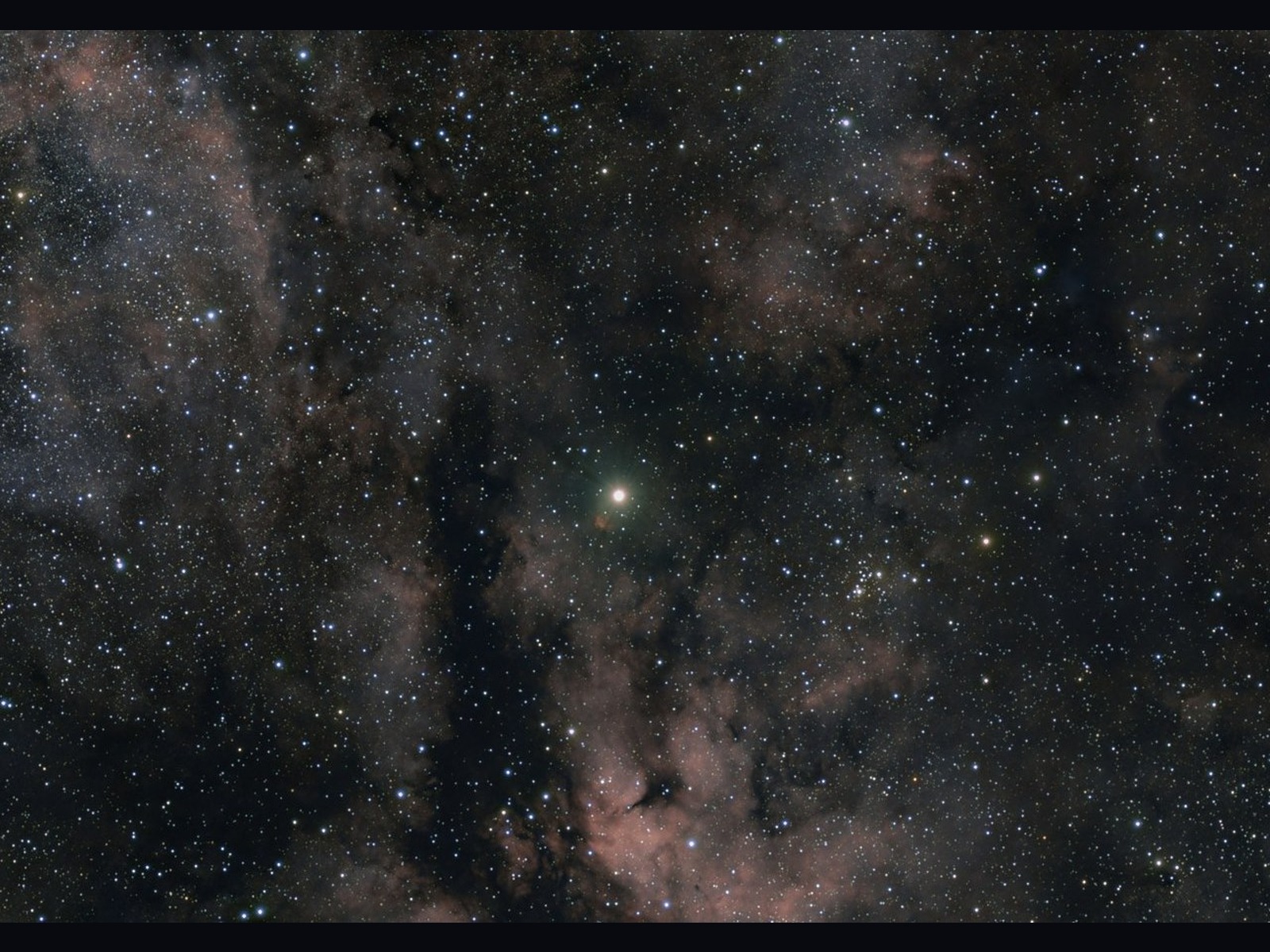The Sadr Region (IC 1318)