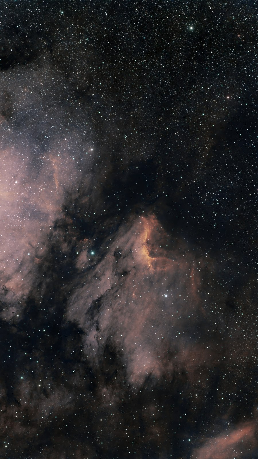 NGC 7000 PELICAN NEBULA